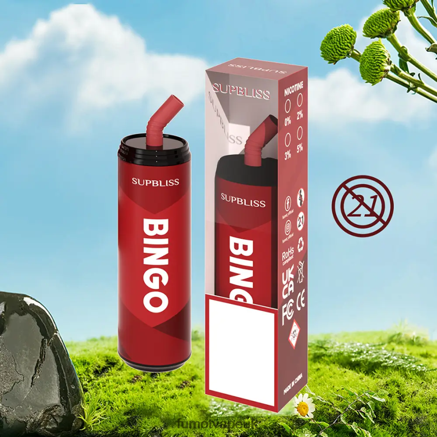 Fumot Supbliss Bingo 9000 Disposable Vape Pen (1 Piece)- 18ML N2LF8N467 - Fumot Vape Price Cool Mint